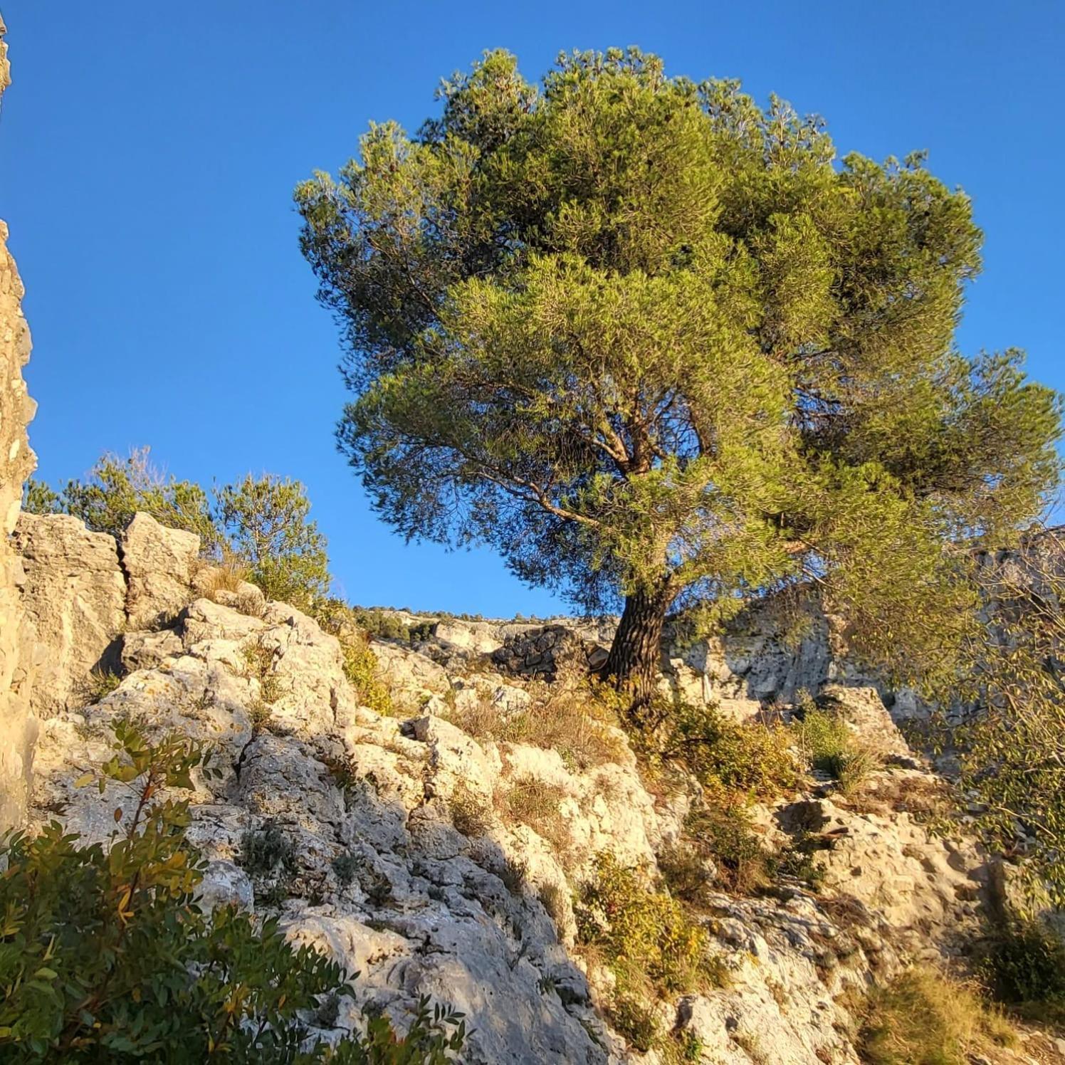 شقة La Calade LʼIsle-sur-la-Sorgue المظهر الخارجي الصورة